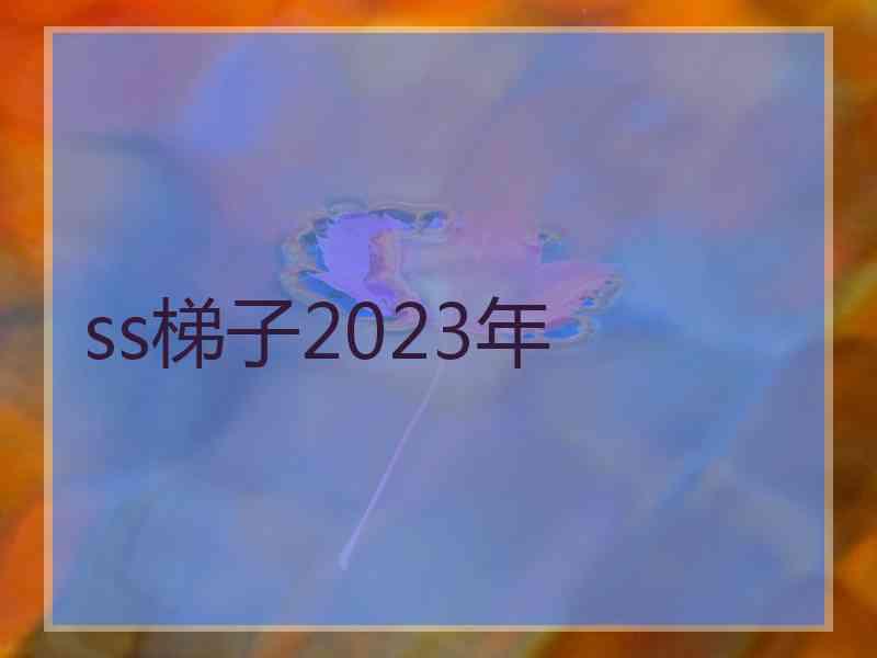 ss梯子2023年