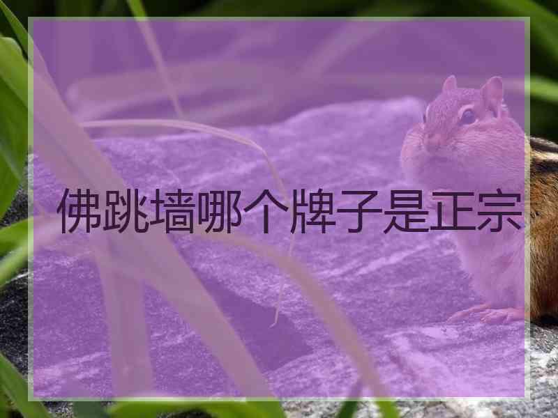 佛跳墙哪个牌子是正宗