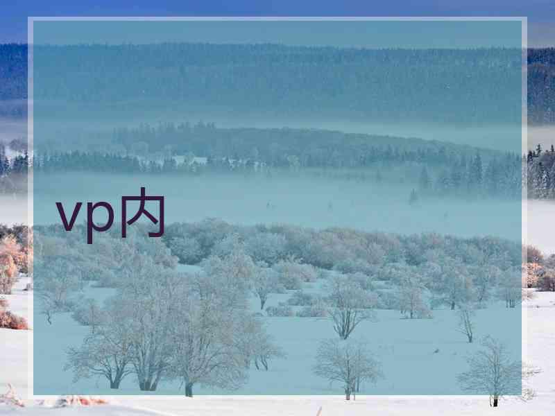 vp内