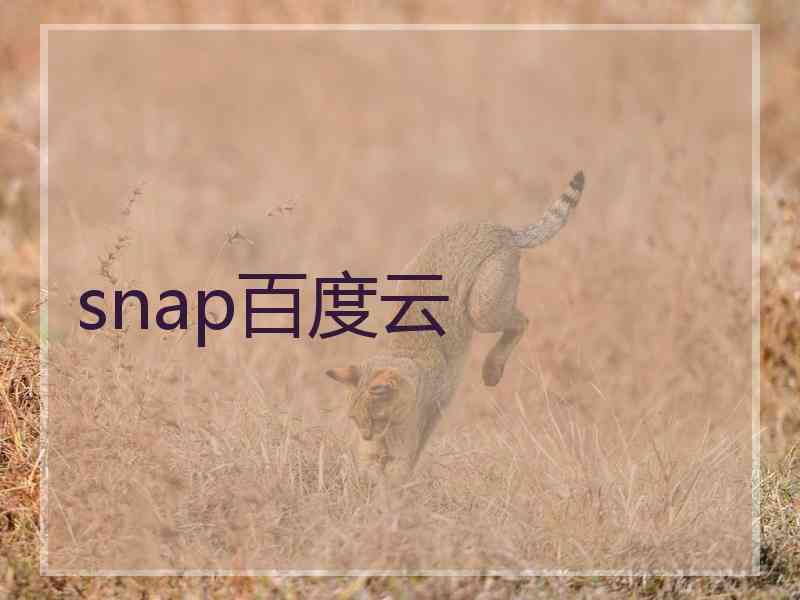 snap百度云