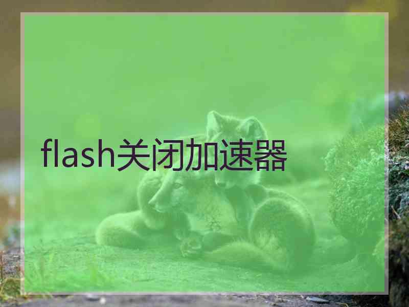 flash关闭加速器