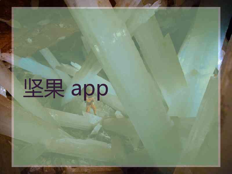 坚果 app