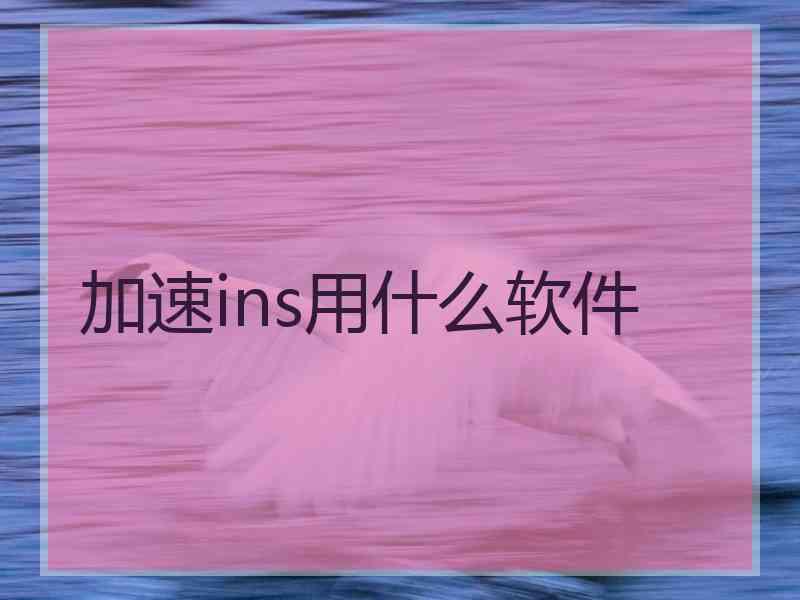 加速ins用什么软件