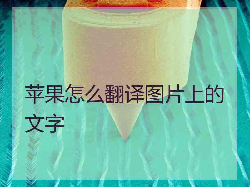 苹果怎么翻译图片上的文字