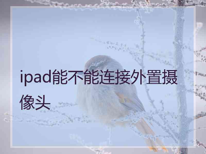 ipad能不能连接外置摄像头