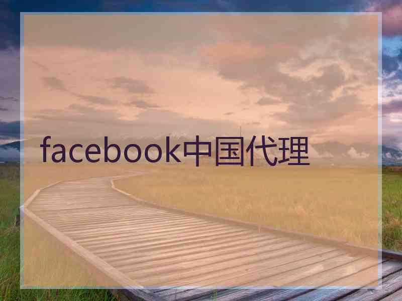 facebook中国代理