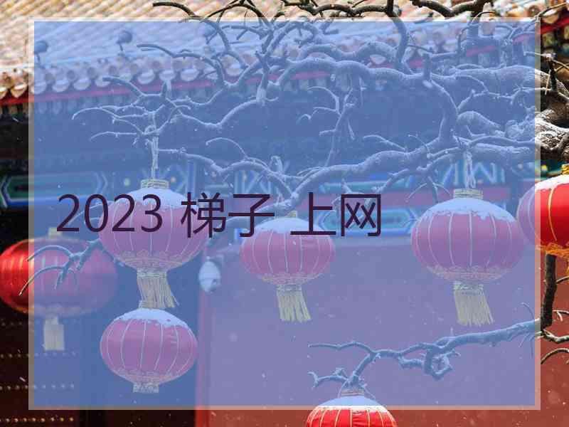 2023 梯子 上网