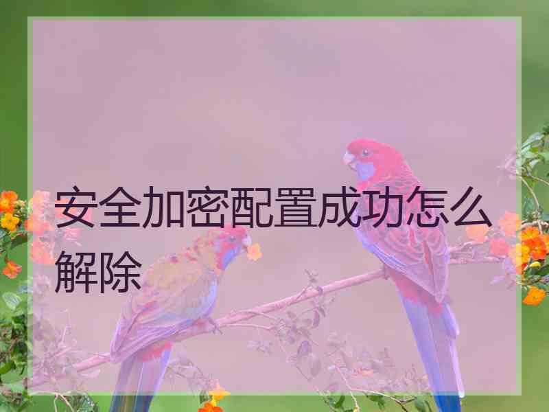 安全加密配置成功怎么解除