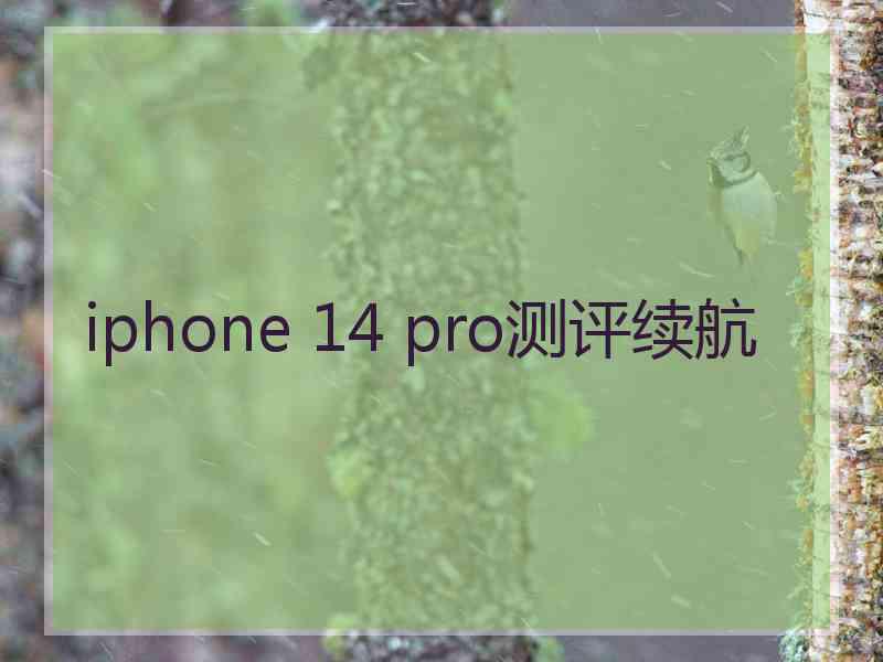 iphone 14 pro测评续航