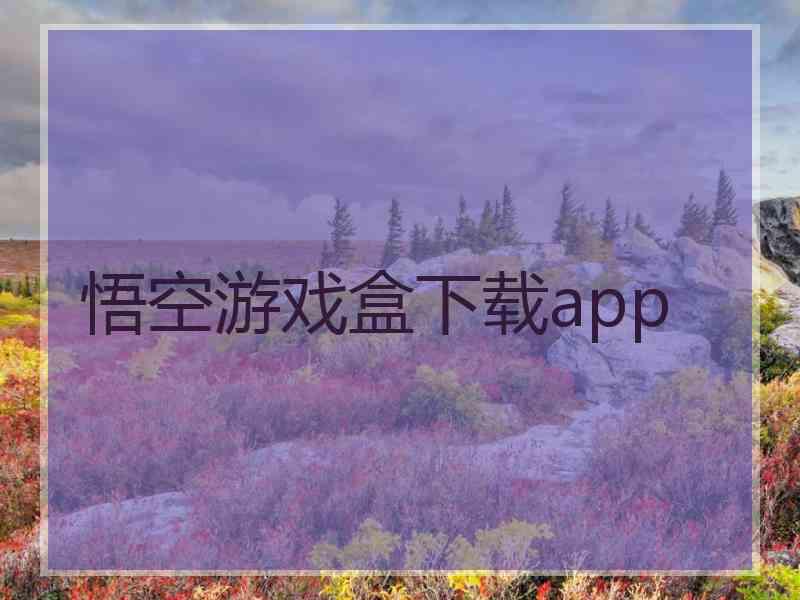 悟空游戏盒下载app