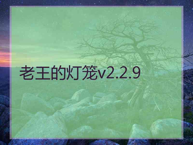 老王的灯笼v2.2.9