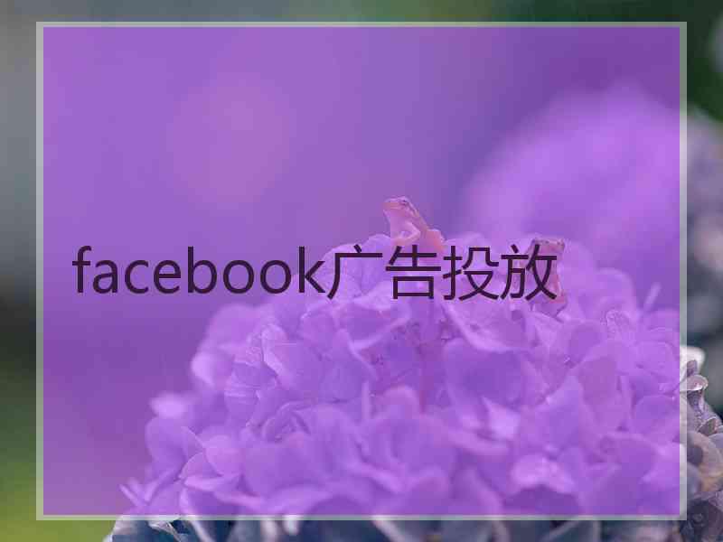 facebook广告投放