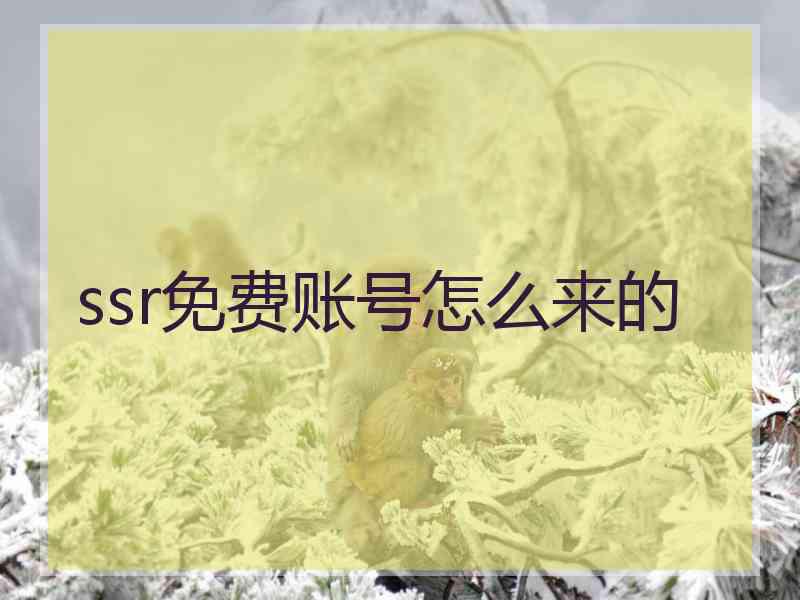 ssr免费账号怎么来的