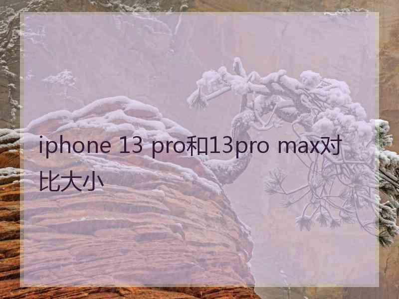 iphone 13 pro和13pro max对比大小