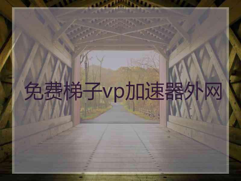 免费梯子vp加速器外网