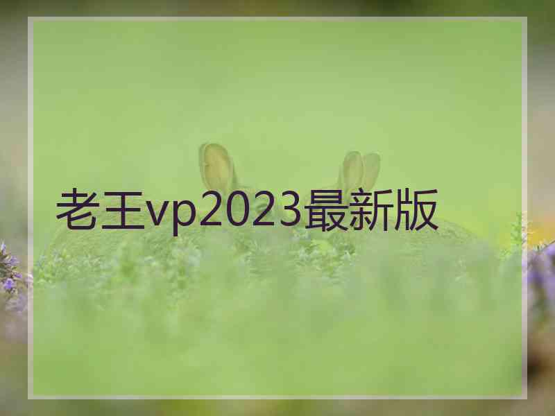 老王vp2023最新版