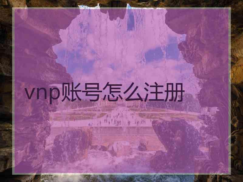 vnp账号怎么注册