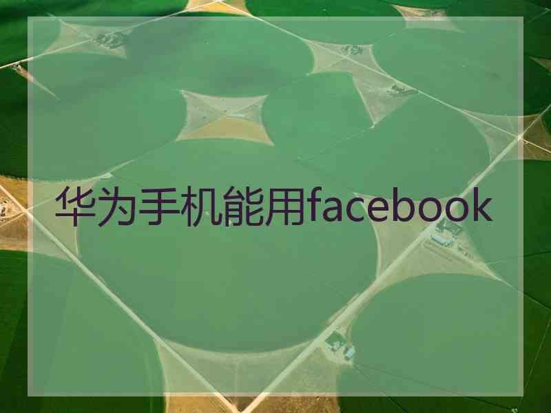 华为手机能用facebook