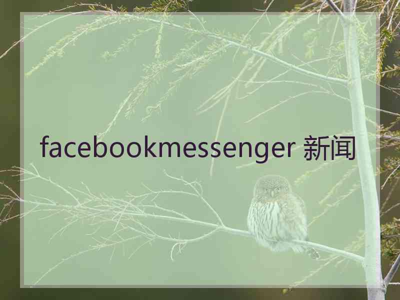 facebookmessenger 新闻