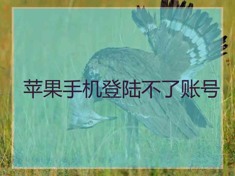 苹果手机登陆不了账号