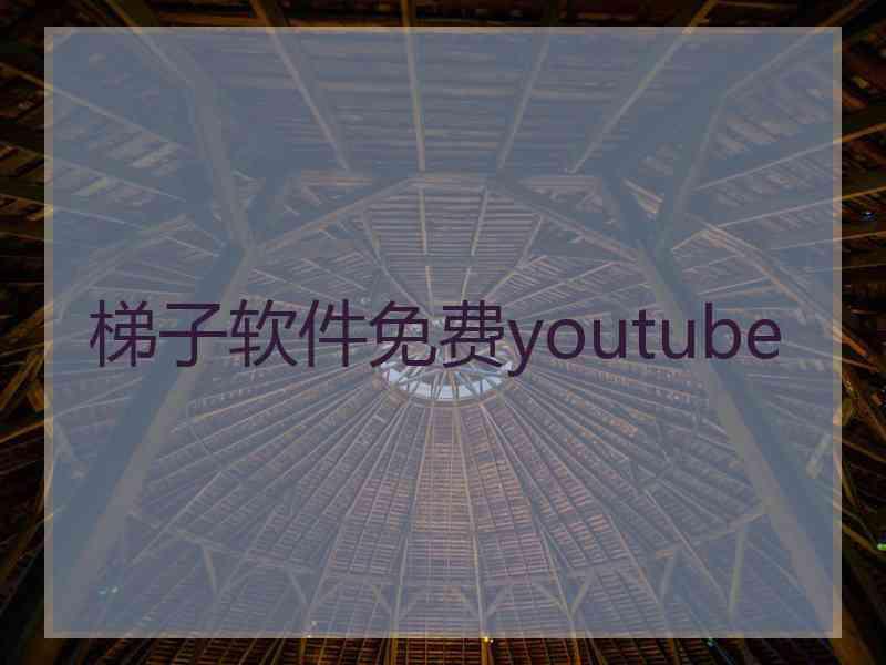 梯子软件免费youtube