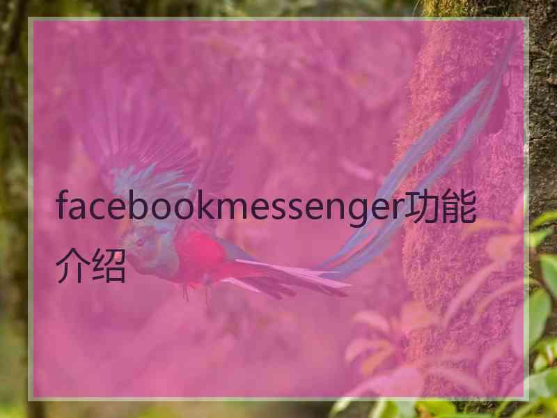 facebookmessenger功能介绍