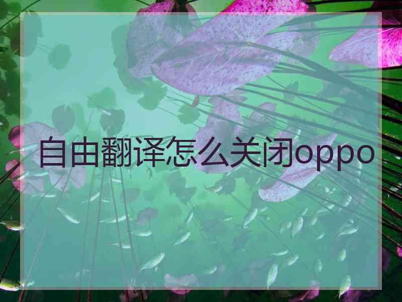 自由翻译怎么关闭oppo