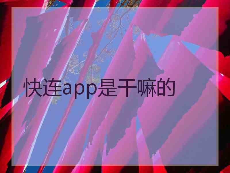 快连app是干嘛的