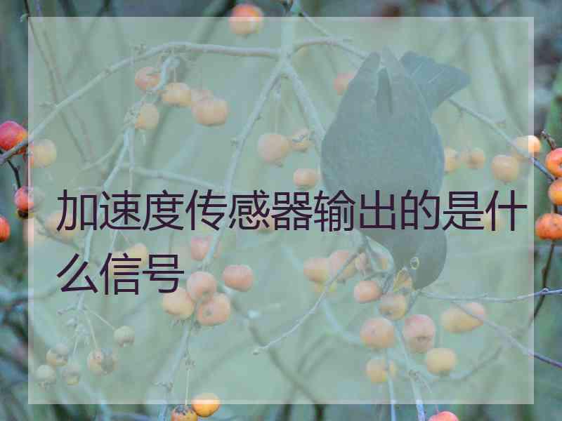 加速度传感器输出的是什么信号