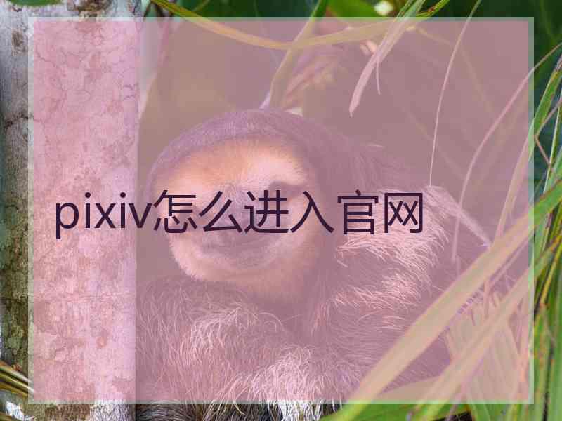 pixiv怎么进入官网