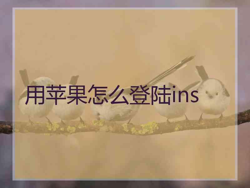 用苹果怎么登陆ins