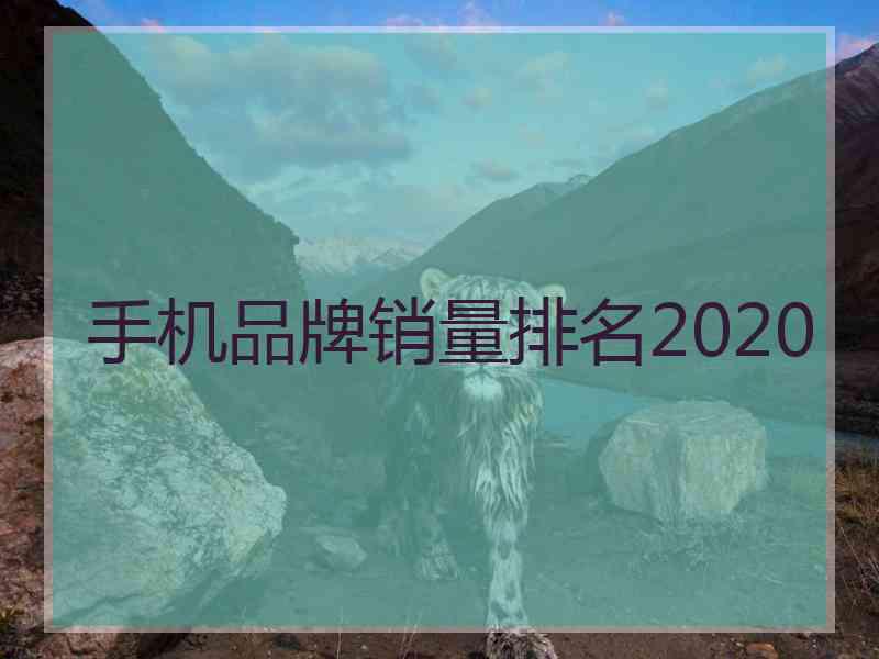 手机品牌销量排名2020