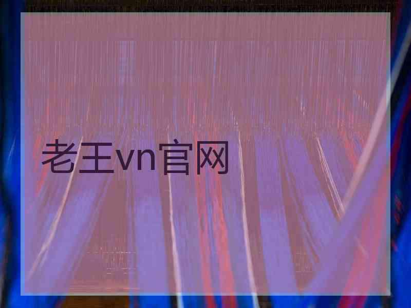 老王vn官网