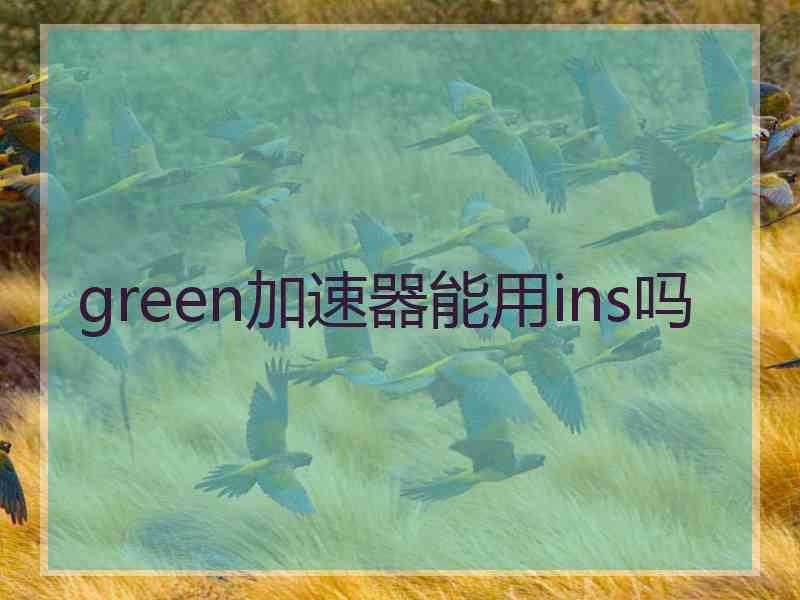 green加速器能用ins吗