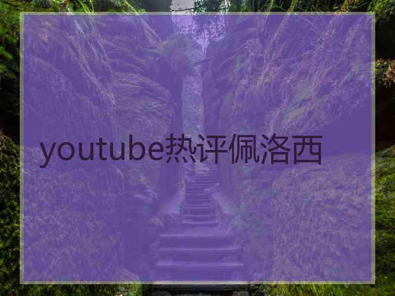 youtube热评佩洛西