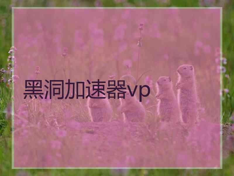 黑洞加速器vp