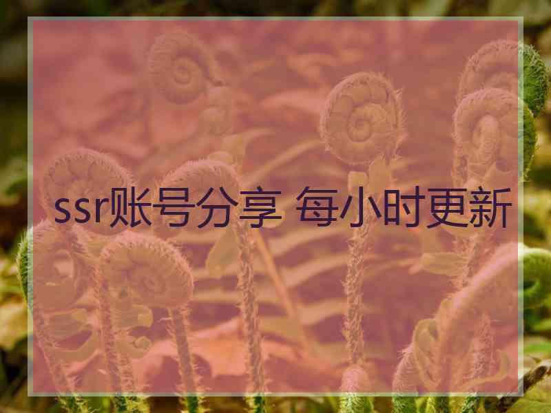 ssr账号分享 每小时更新