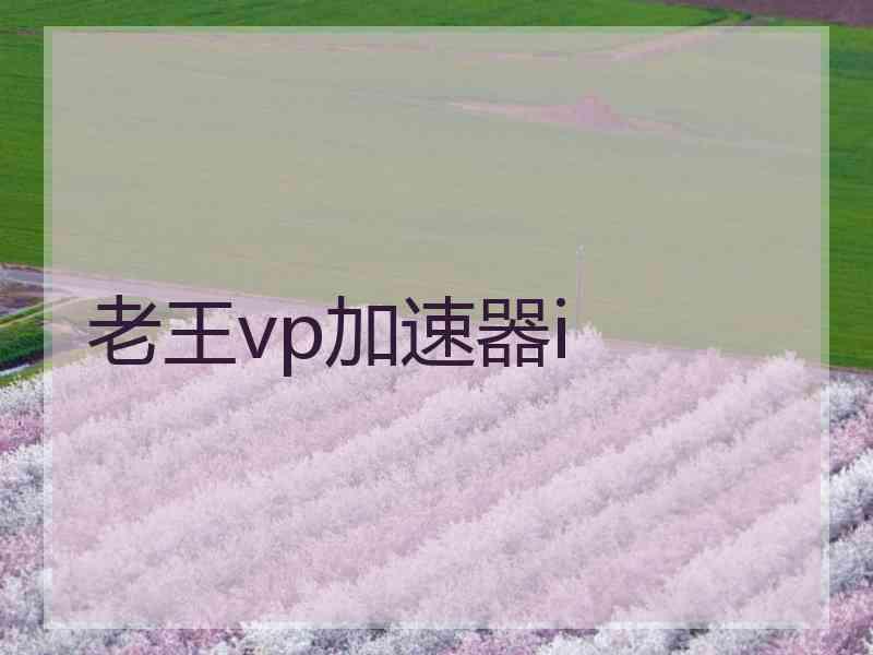 老王vp加速器i