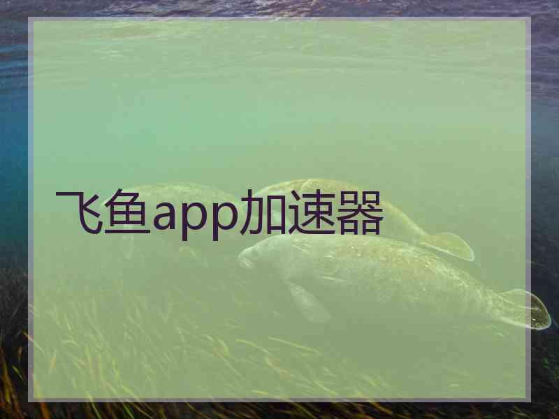 飞鱼app加速器