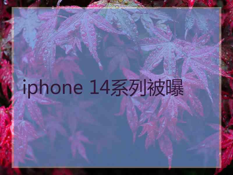 iphone 14系列被曝