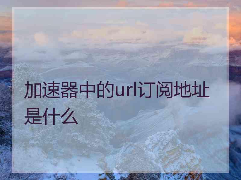 加速器中的url订阅地址是什么