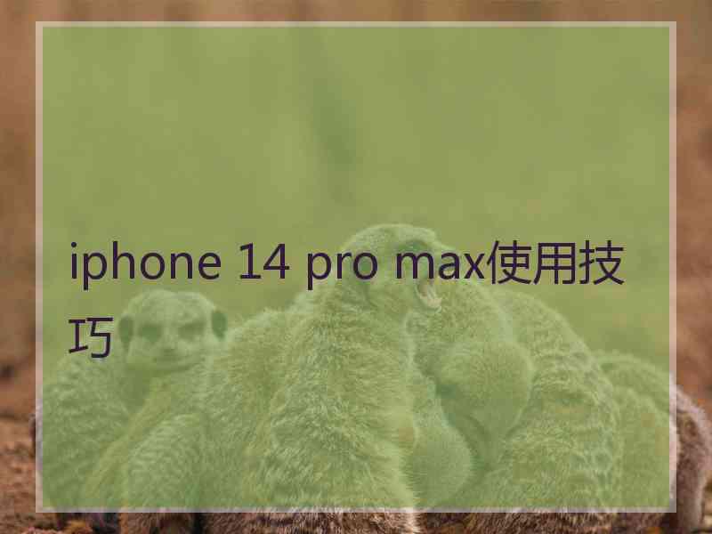 iphone 14 pro max使用技巧