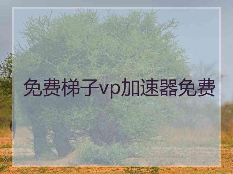 免费梯子vp加速器免费