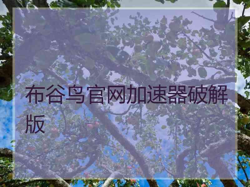 布谷鸟官网加速器破解版