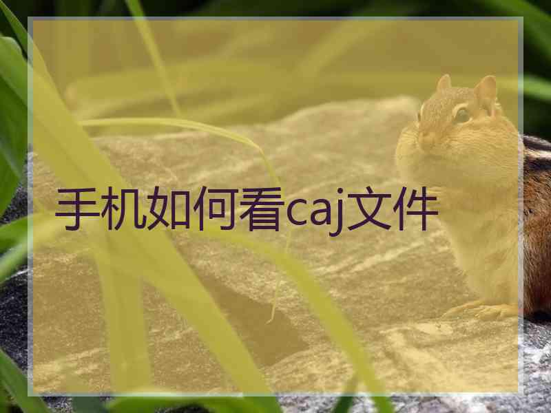 手机如何看caj文件