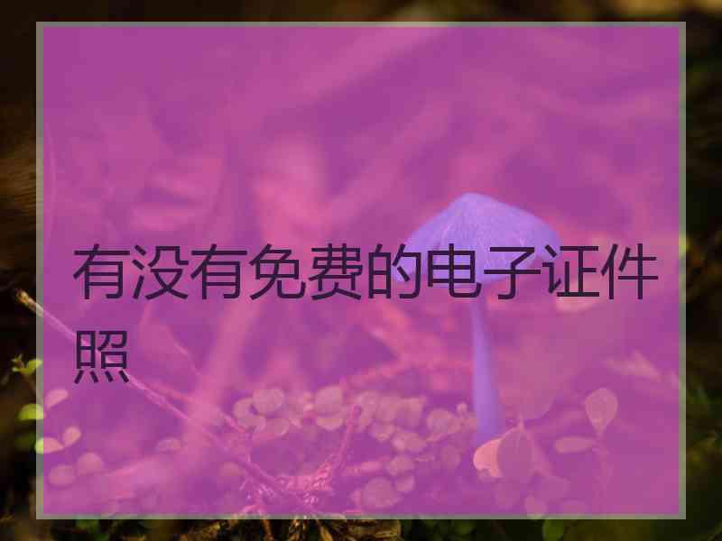 有没有免费的电子证件照