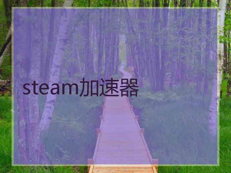 steam加速器