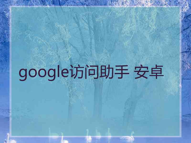 google访问助手 安卓