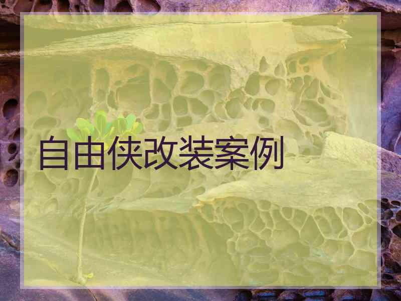 自由侠改装案例