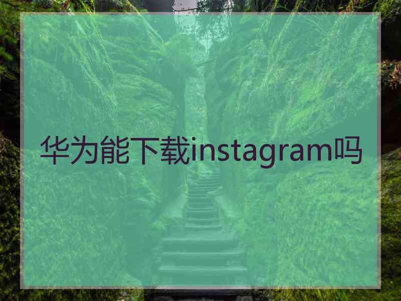 华为能下载instagram吗